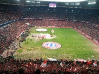 Spiele Saison 2014/2015