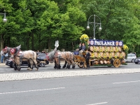 Pokalfinale 2019_4